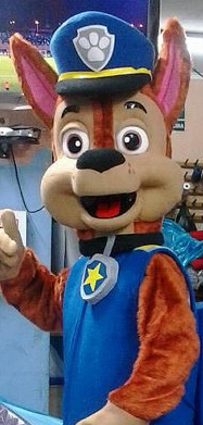 Minneapolis Paw Dog Patrol Party Characters