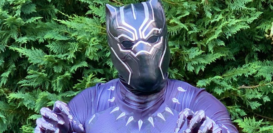 Hire a Black Panther for a Birthday Party