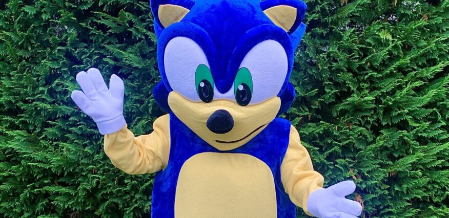 Rent Sonic for a Birthday Party