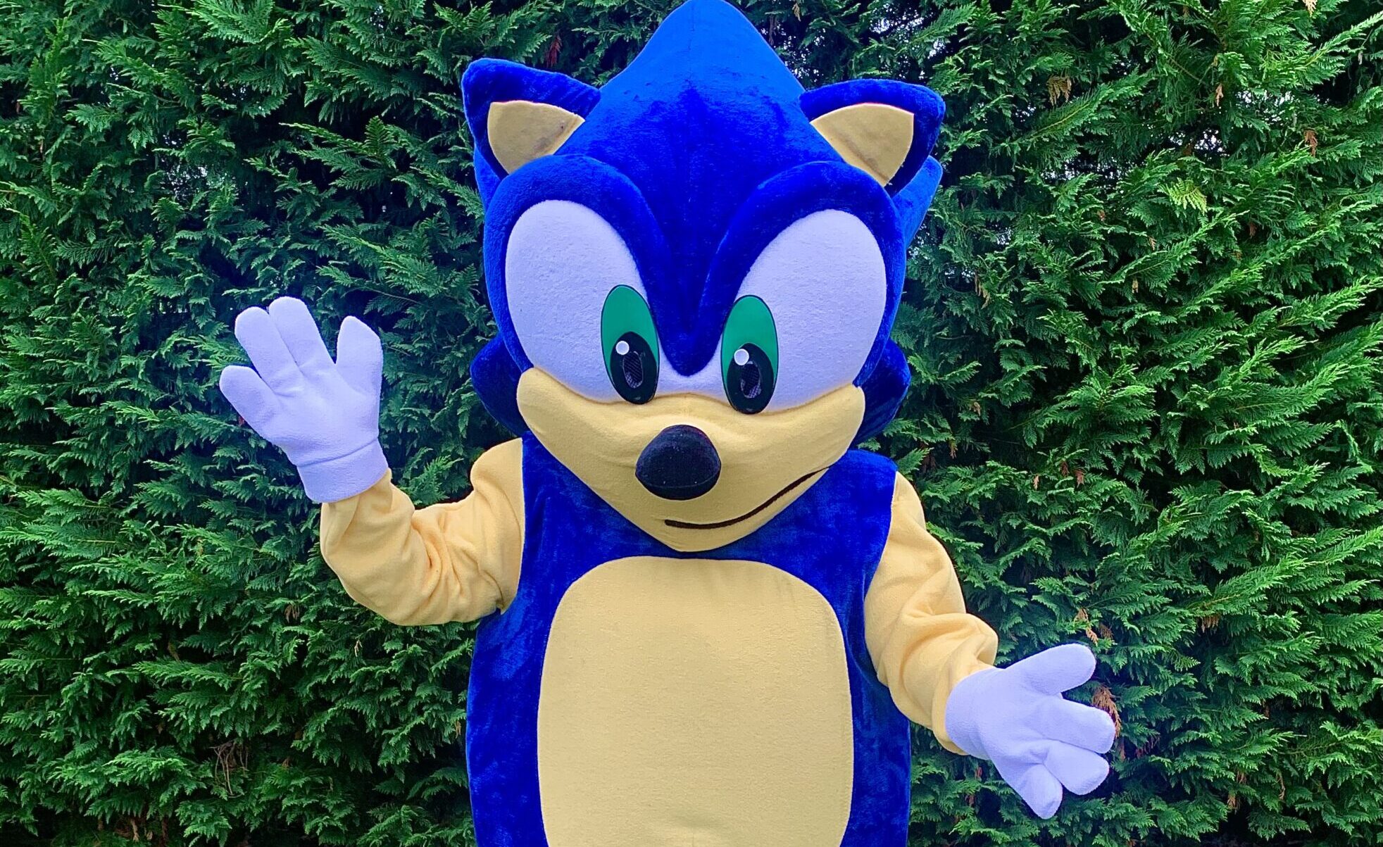 BirthdayExpress @ .com:  Sonic birthday parties, Sonic