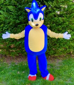 Hire Sonic for a Party