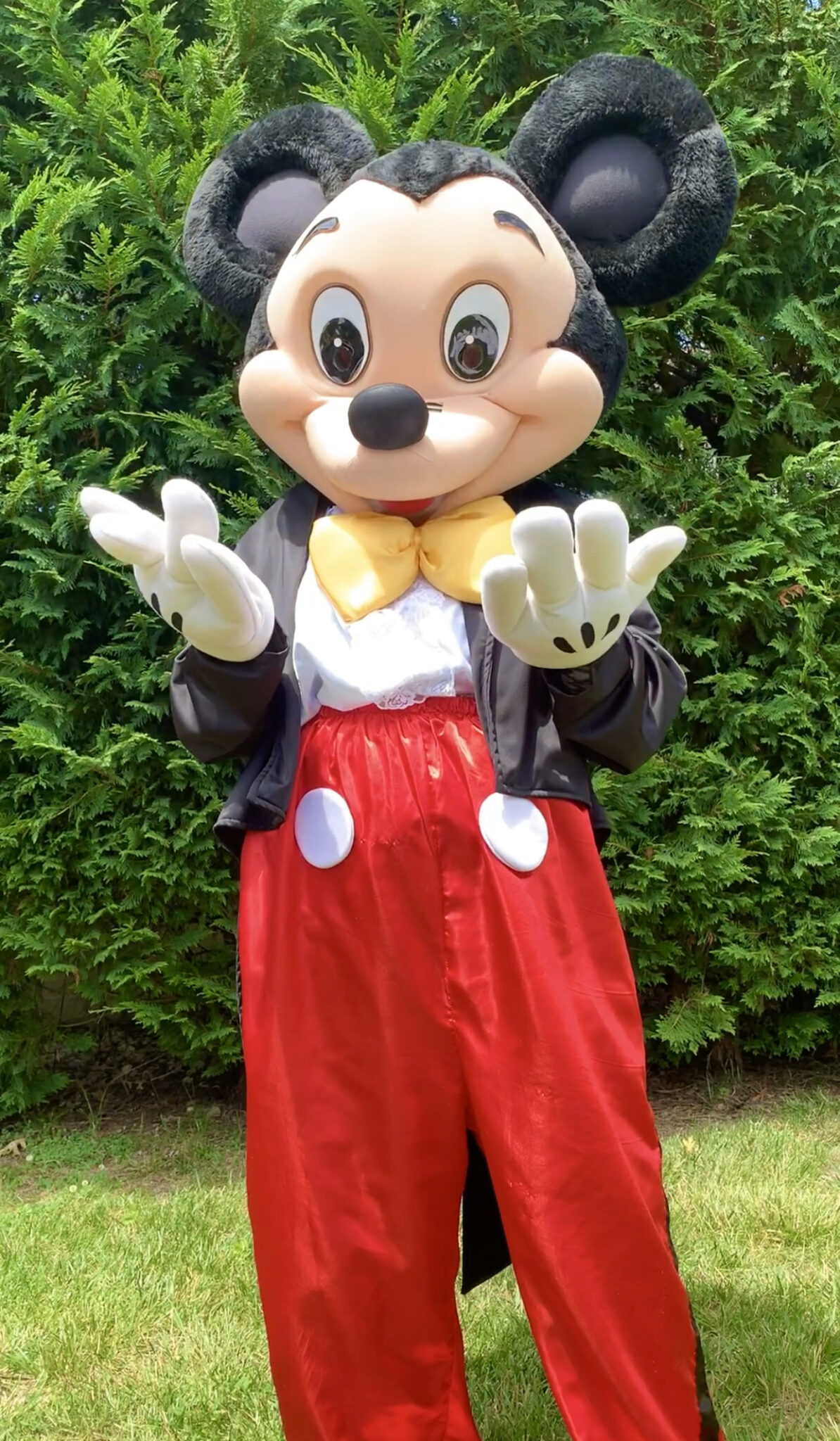 Atlanta Rent a Character Near Me for a Party, Princess, Superhero.